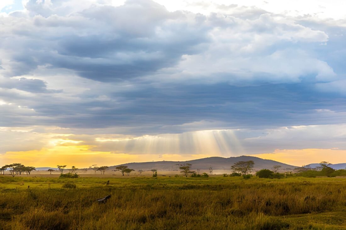 🦁 Serengeti Low Season Guide: Experiencing the Park Beyond the Migration