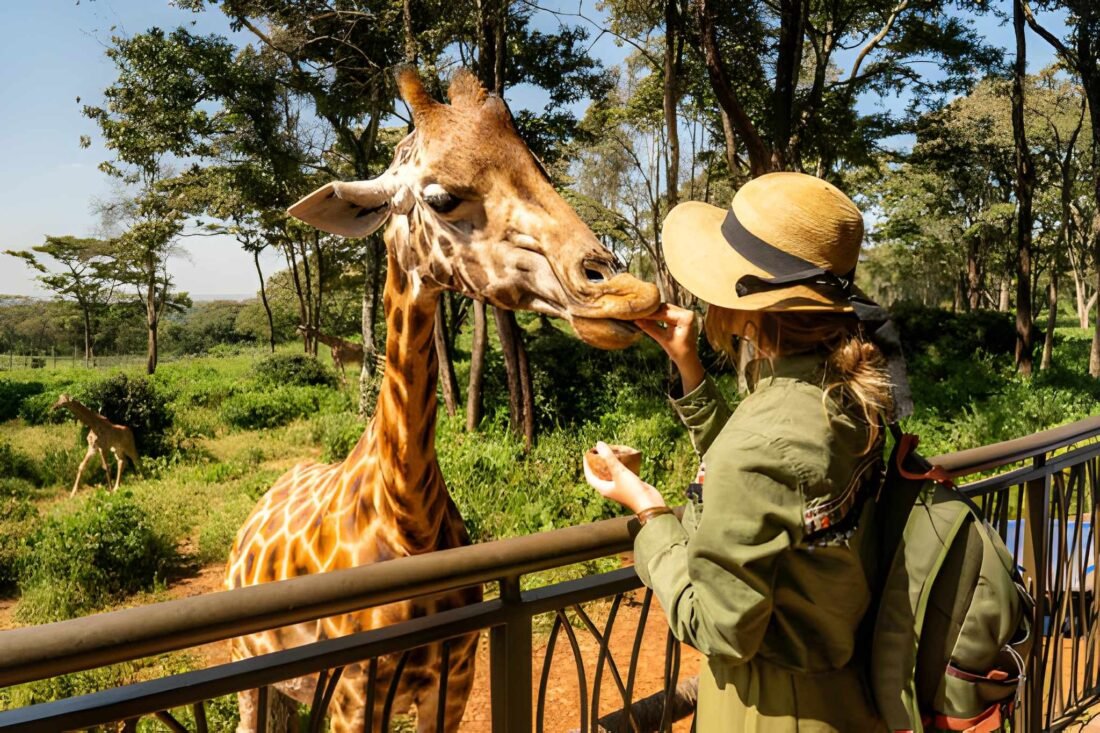 Tanzania Travel Cost Guide: How Much a Safari, Kilimanjaro & Zanzibar Trip Really Costs