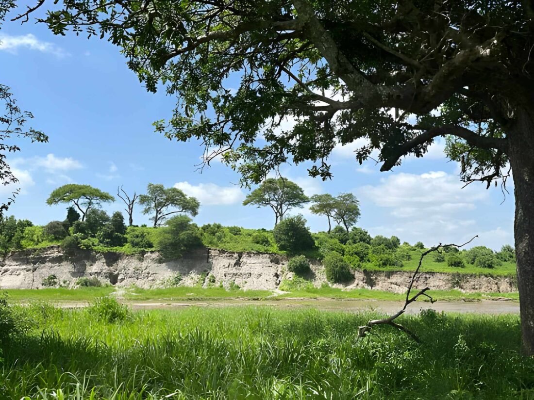 Tanzania Safari Low Season Cost (2026): Real Prices & Monthly Savings