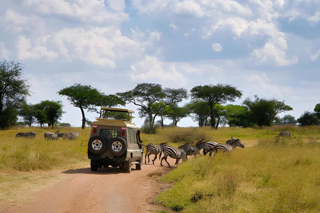 5-Day vs 7-Day vs 10-Day Tanzania Safari – Which One Should You Choose?