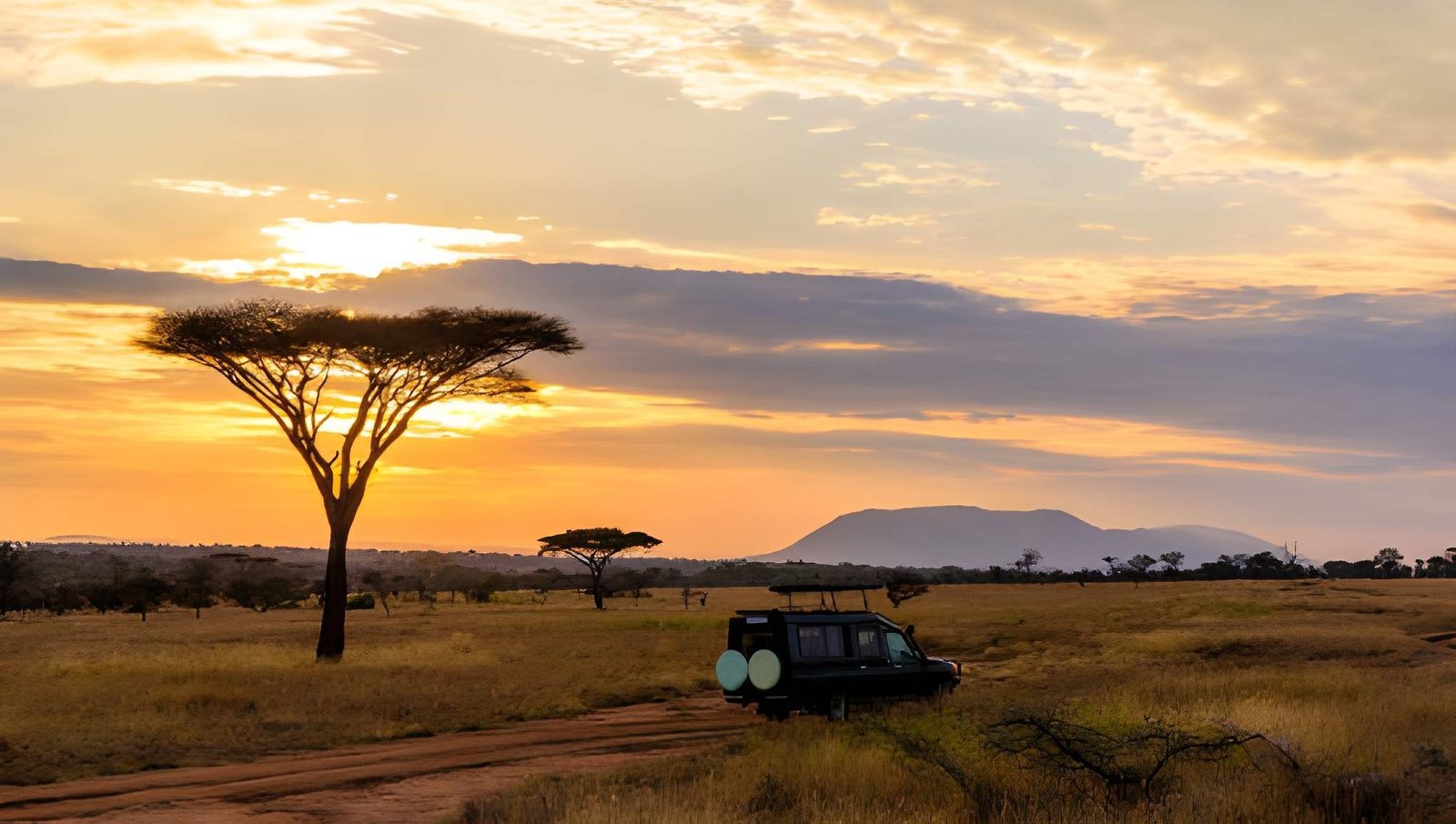 7-Day Northern Circuit Safari Itinerary (Day-by-Day Guide for First-Time Tanzania Travelers)