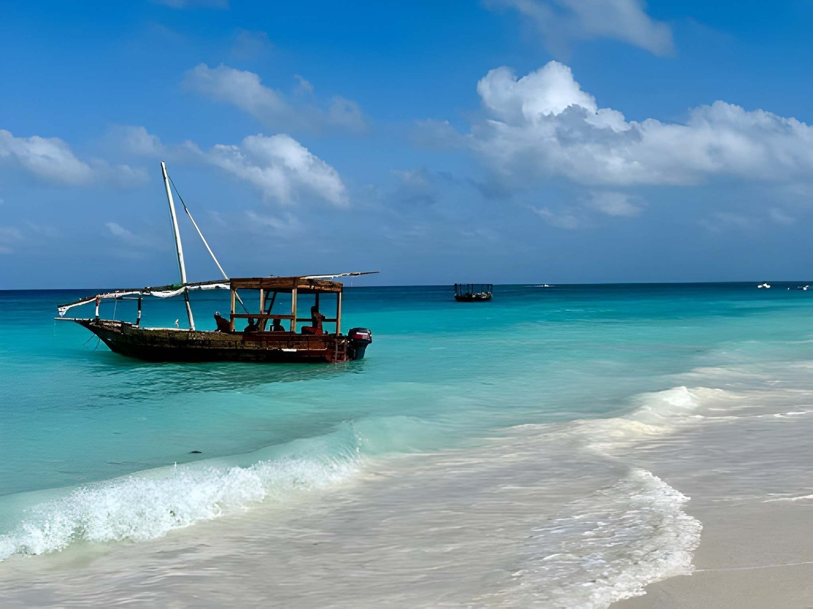 Definitive Tanzania Safari & Zanzibar Guide