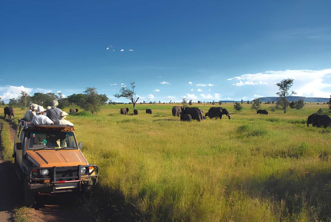 Hidden Costs on Tanzania Safaris: What Most Quotes Don’t Tell You