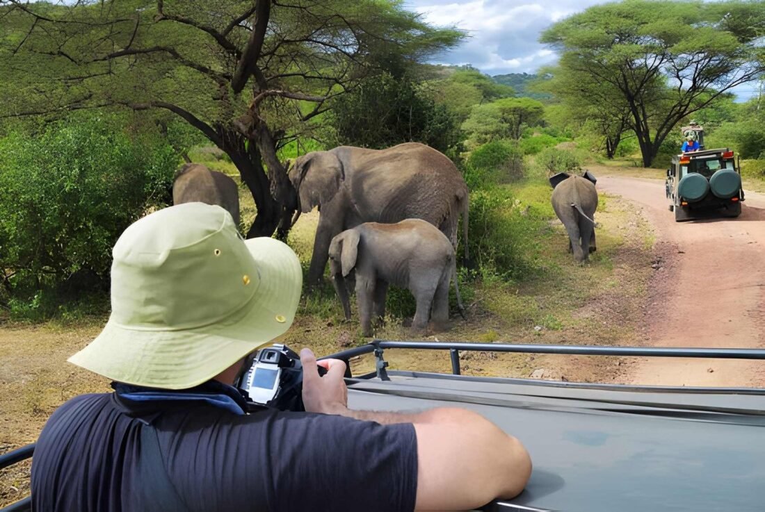 Shared vs Private Safari in Tanzania: Which One Is Right for You?