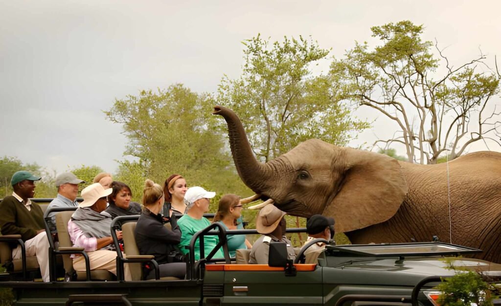 Tailor-Made Tanzania Safari