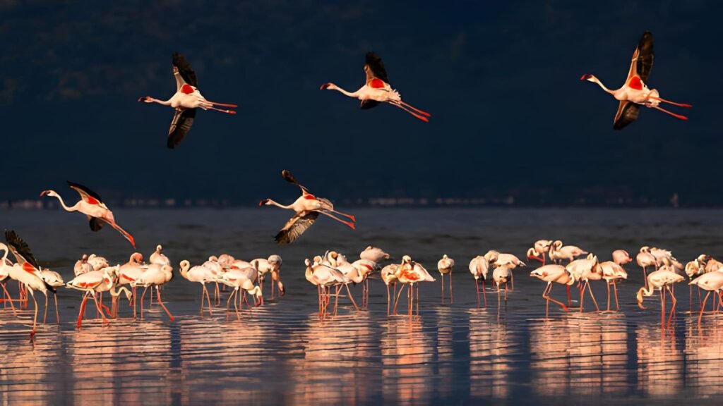 lake-natron